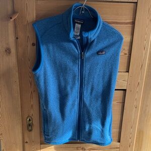 Patagonia Vibrant Blue Fleece Vest